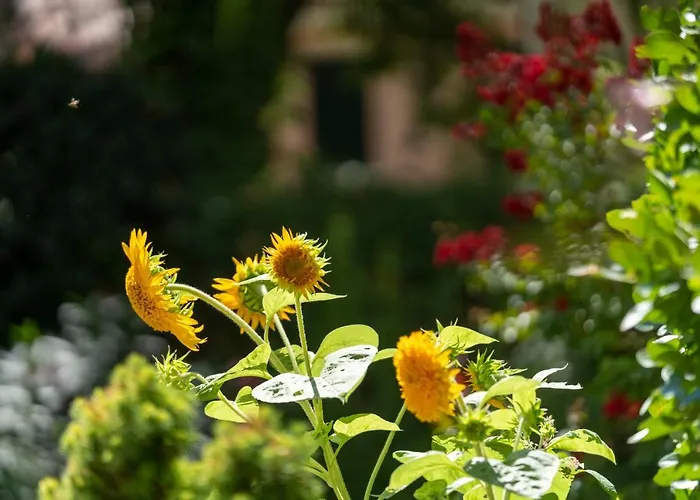 شقة Mocenigo Grand Canal Luxury البندقية