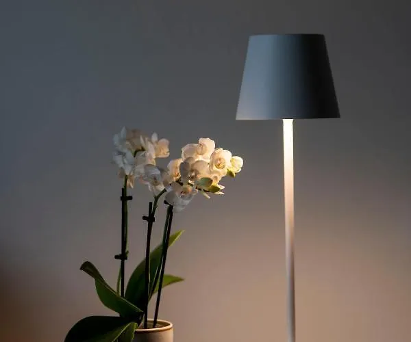 شقة Mocenigo Grand Canal Luxury البندقية